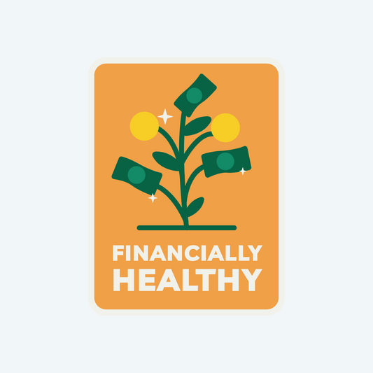 Financially Healthy - Personal Finance File Box